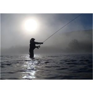 Meet your Posher, Marlene